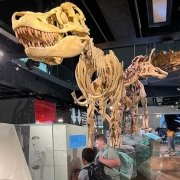 Disability School Holiday Program Melbourne Museum