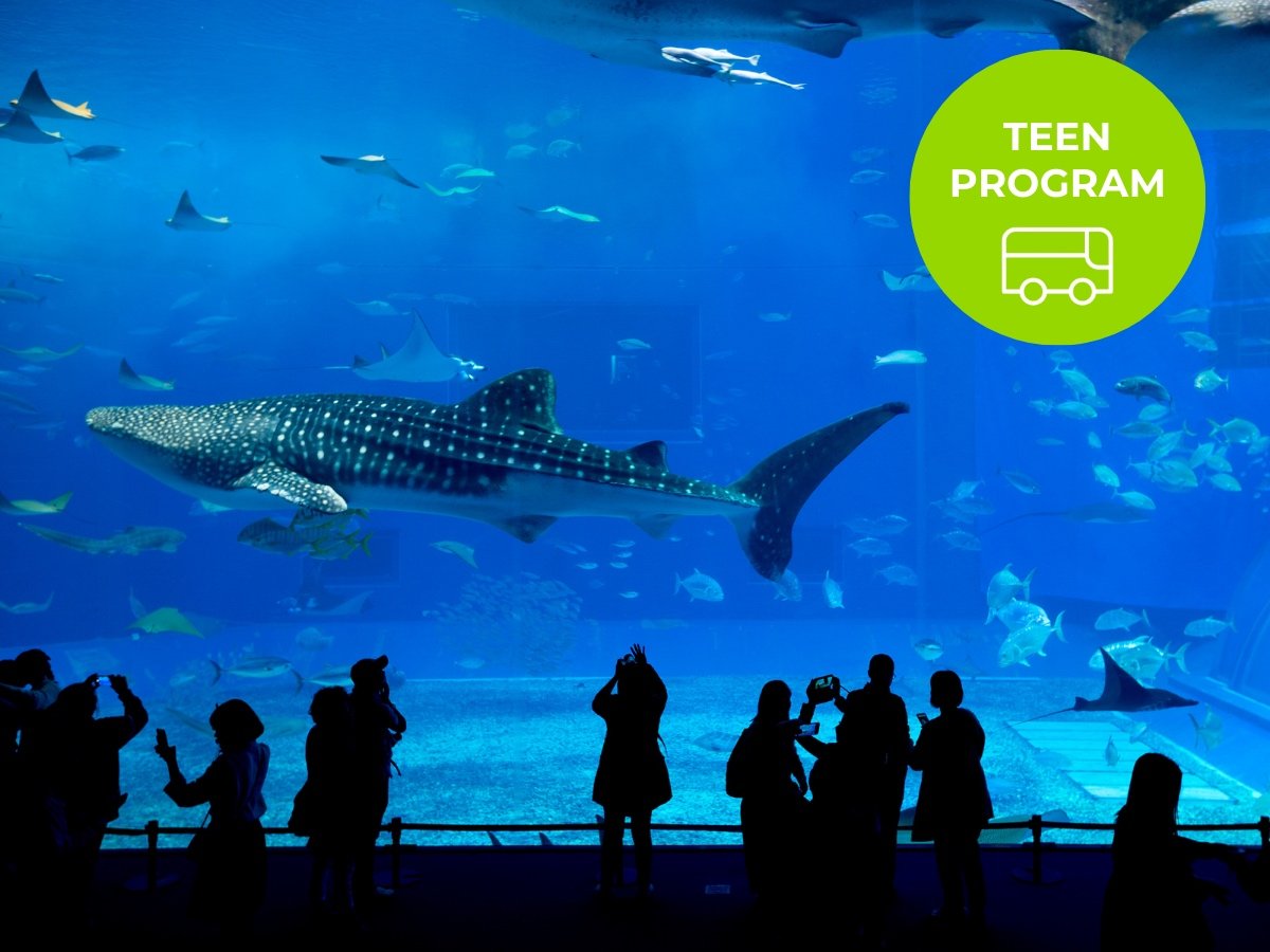 TEEN Winter School Holiday Program Aquarium