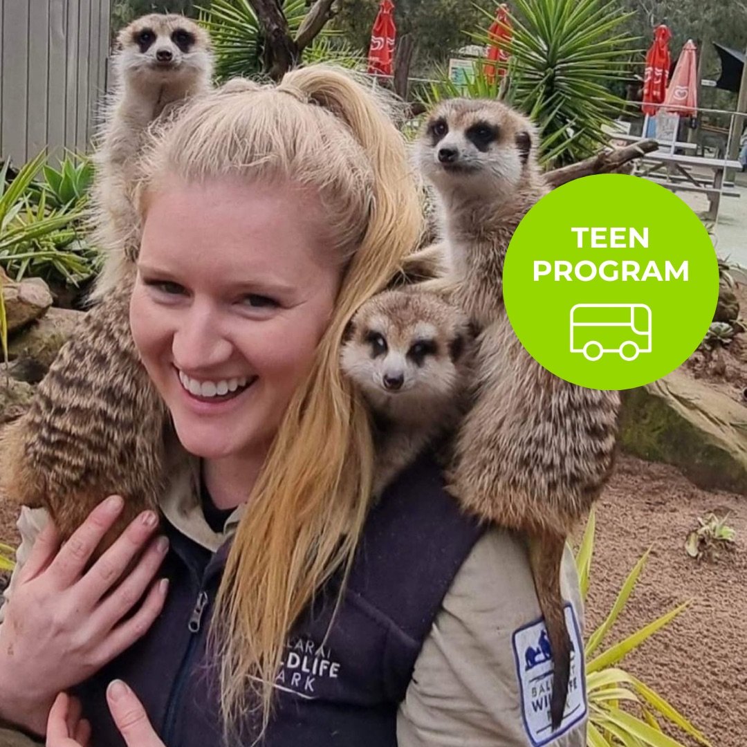 teen-winter-school-holiday-program-ballarat-wildlife-park-felicity