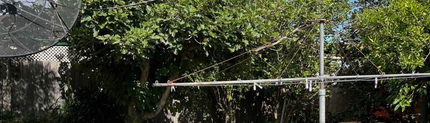 Reservoir Backyard_for web Reservoir SIL Backyard