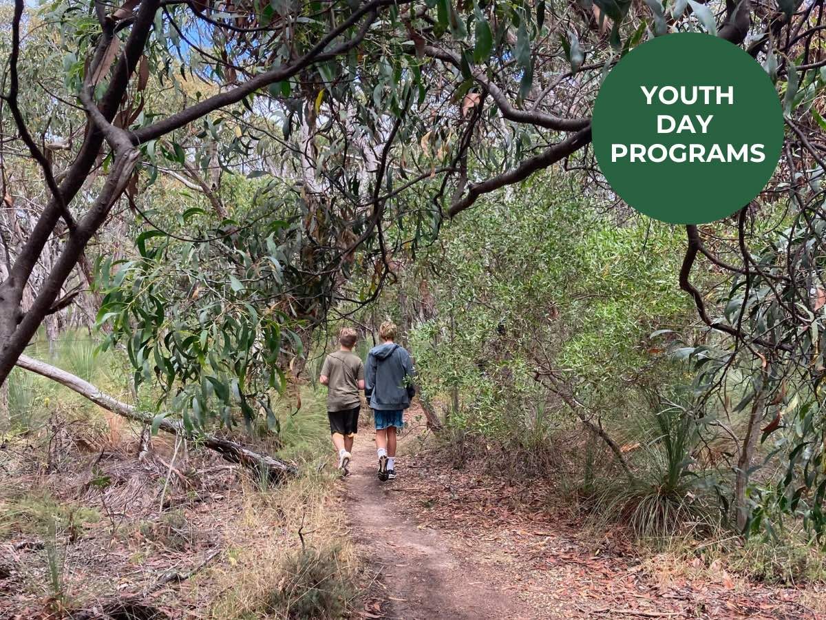 TEEN WEEKEND Programs – Activities & Bookings